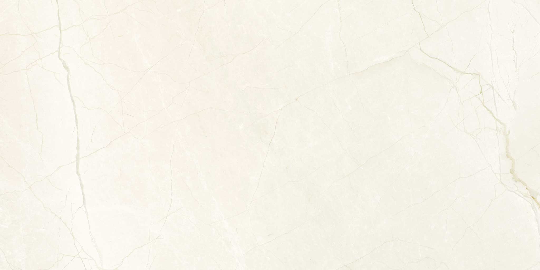Avorio Crema 12x24 | Tile and Stone Center