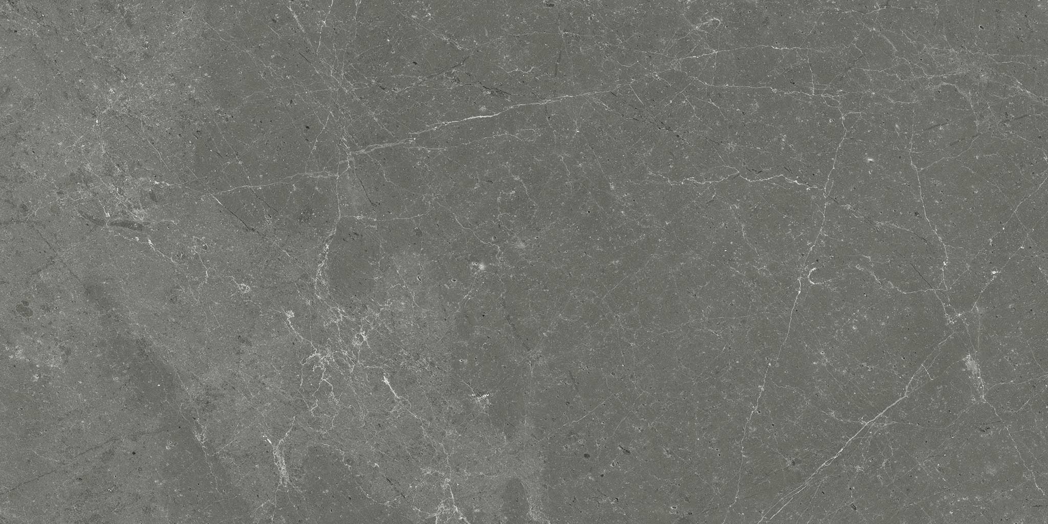 Stark Carbon 12x24 | Tile and Stone Center