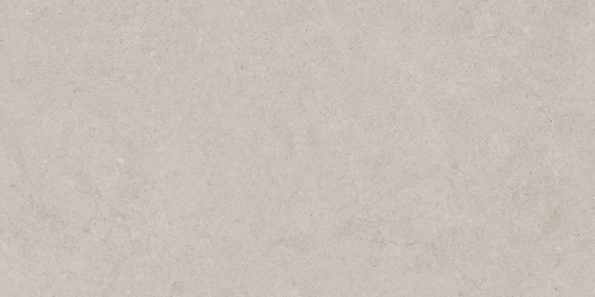 Lithoform 12X24 Crosscut Coast | Tile and Stone Center