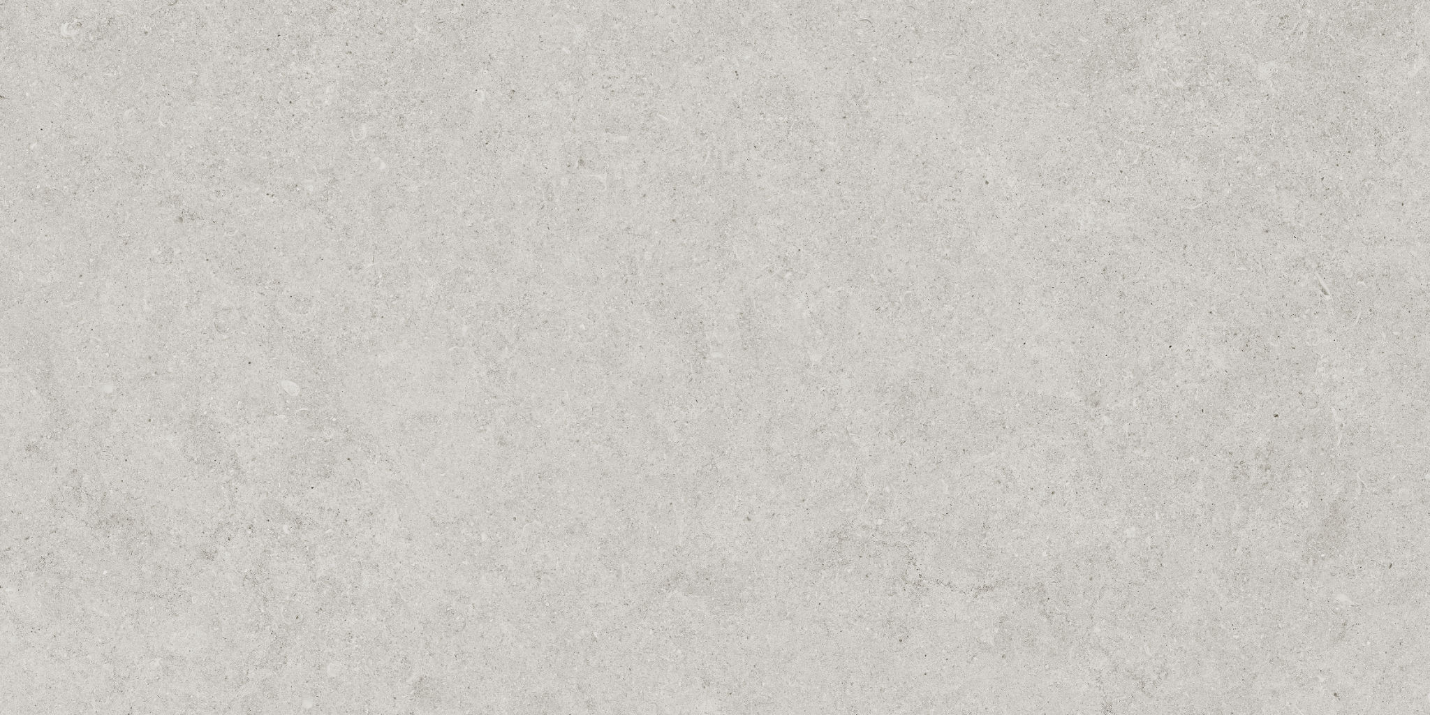 Lithoform 12X24 Crosscut Vista | Tile and Stone Center