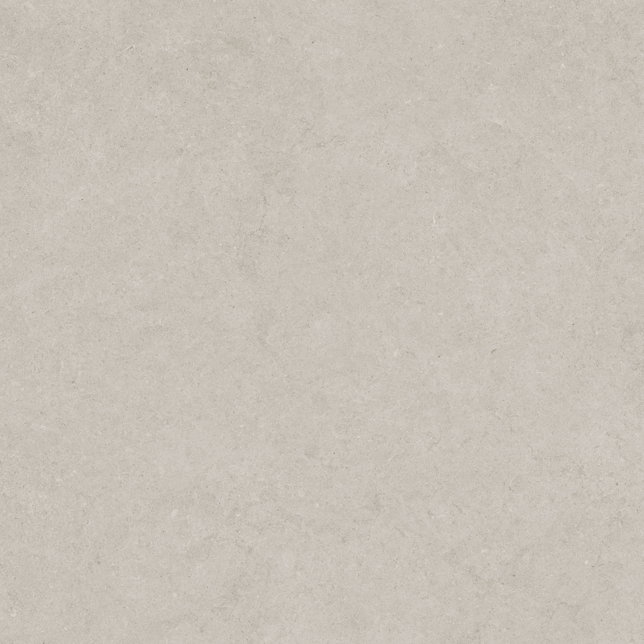 Lithoform 24X24 Crosscut Coast | Tile and Stone Center
