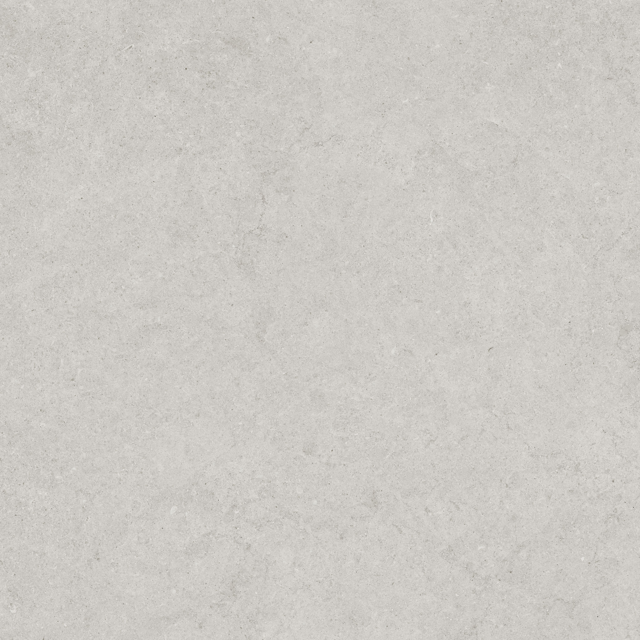 Lithoform 24X24 Crosscut Vista | Tile and Stone Center