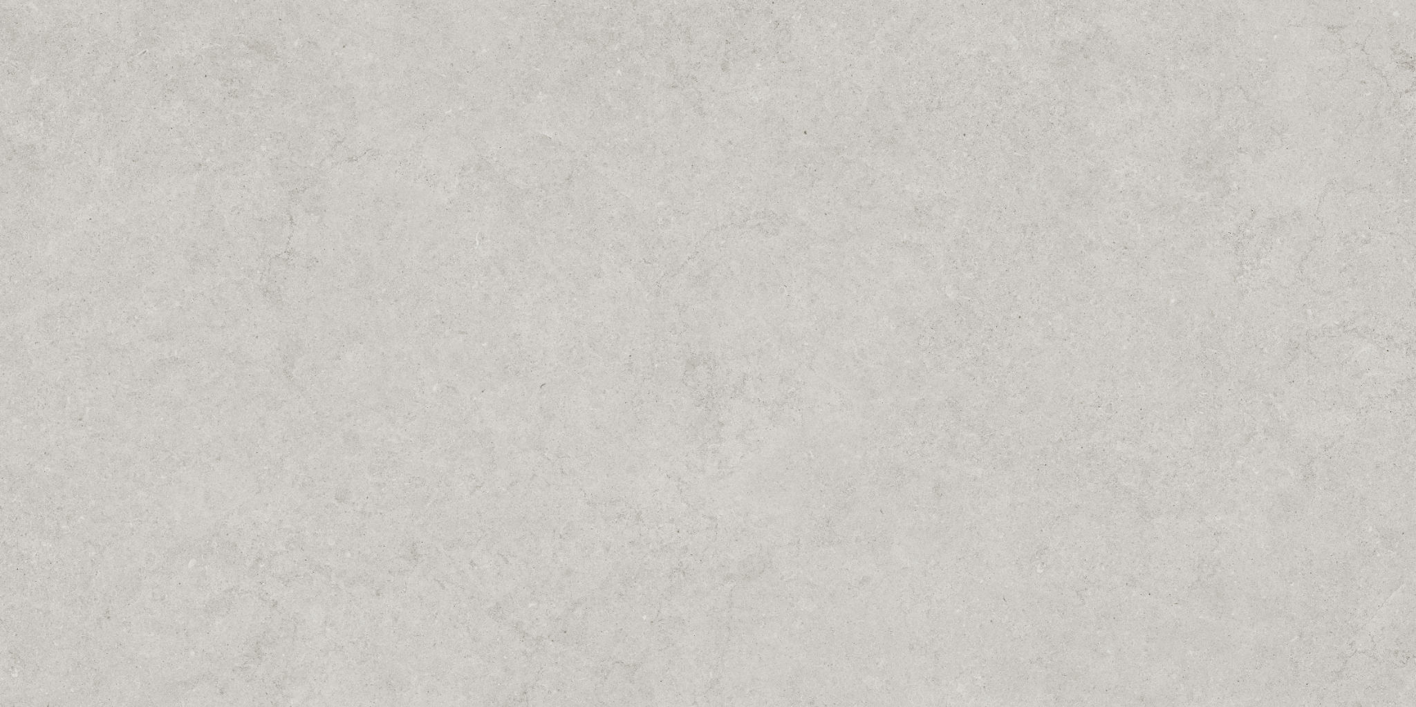 Lithoform 24X48 Crosscut Vista | Tile and Stone Center