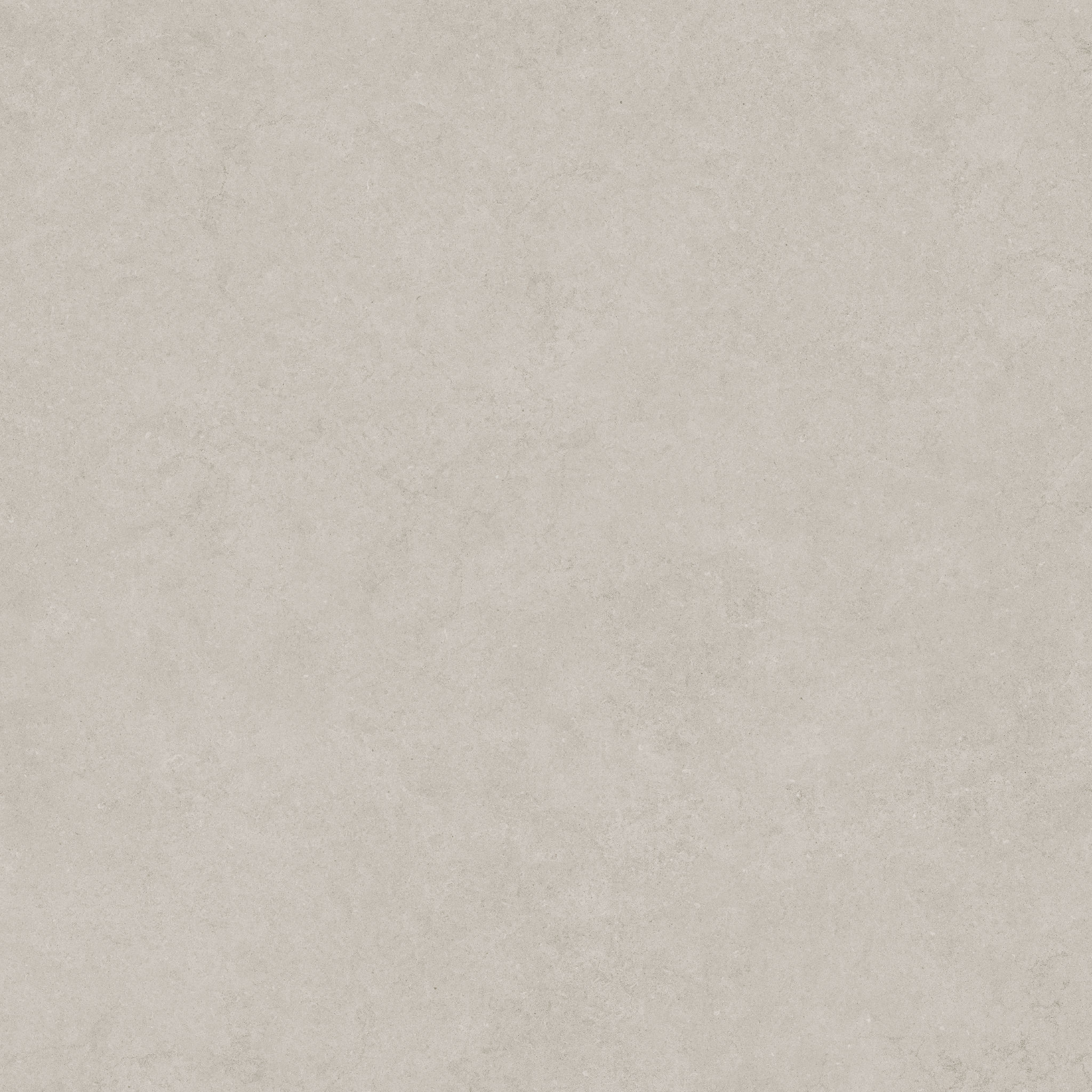 Lithoform 48X48 Crosscut Coast | Tile and Stone Center