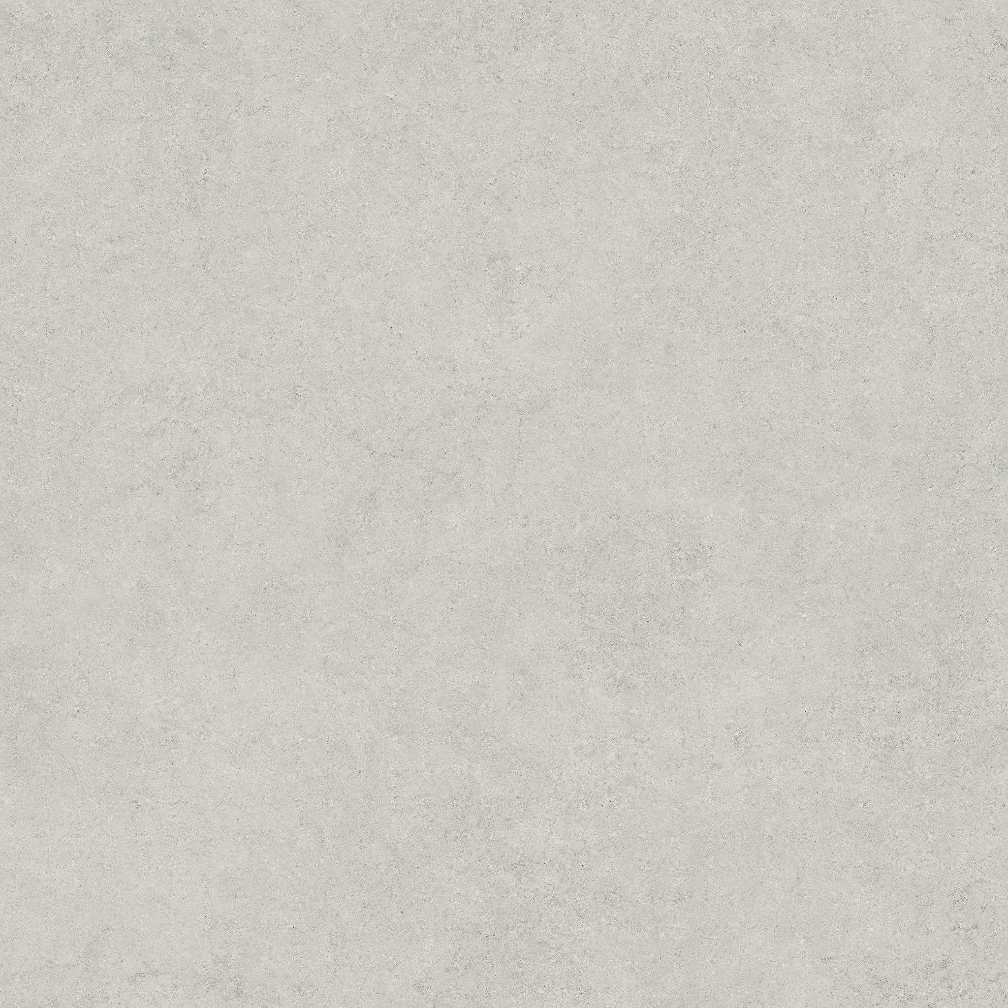 Lithoform 48X48 Crosscut Vista | Tile and Stone Center