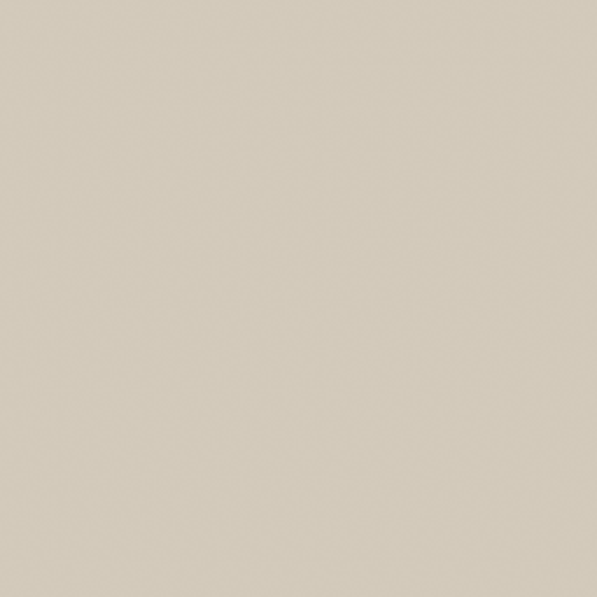 Monoforma 48x48 Oasis Silk | Tile and Stone Center