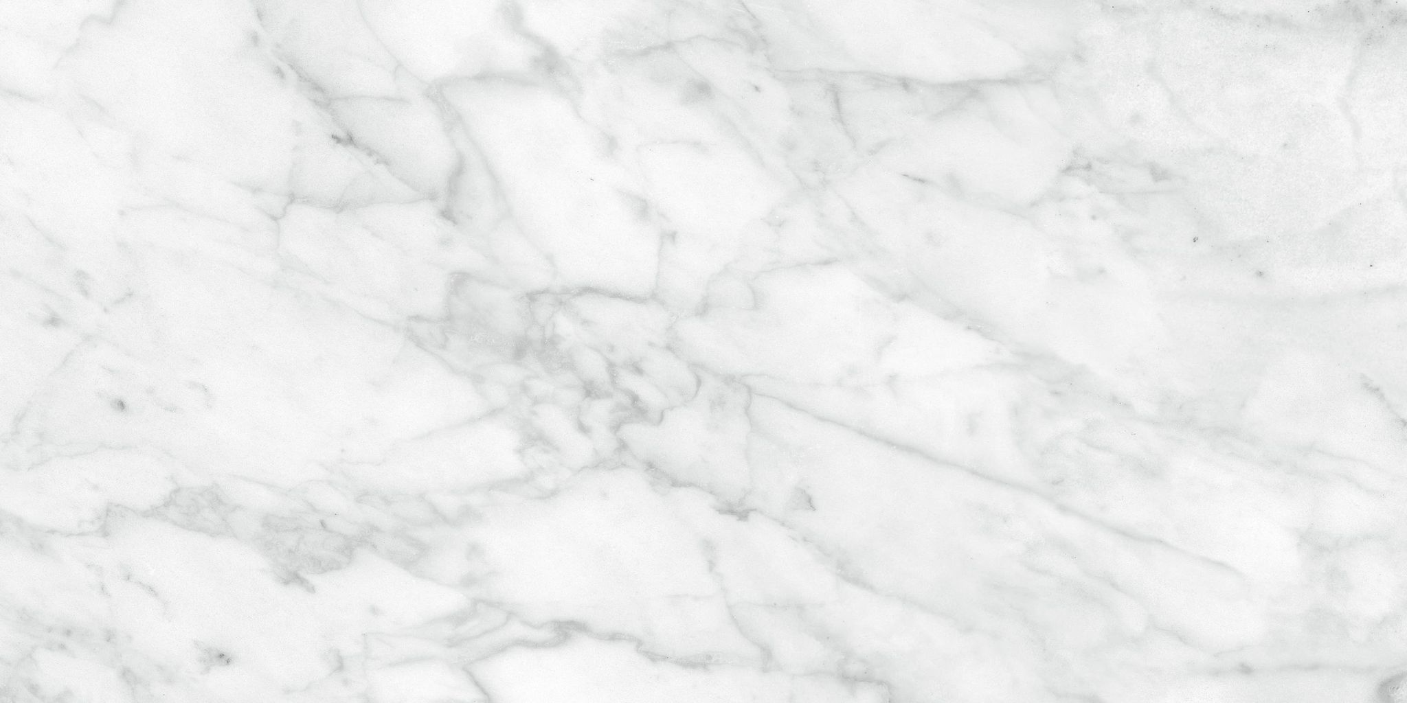 Plata 12x24 Carrara Abisso Polished | Tile and Stone Center
