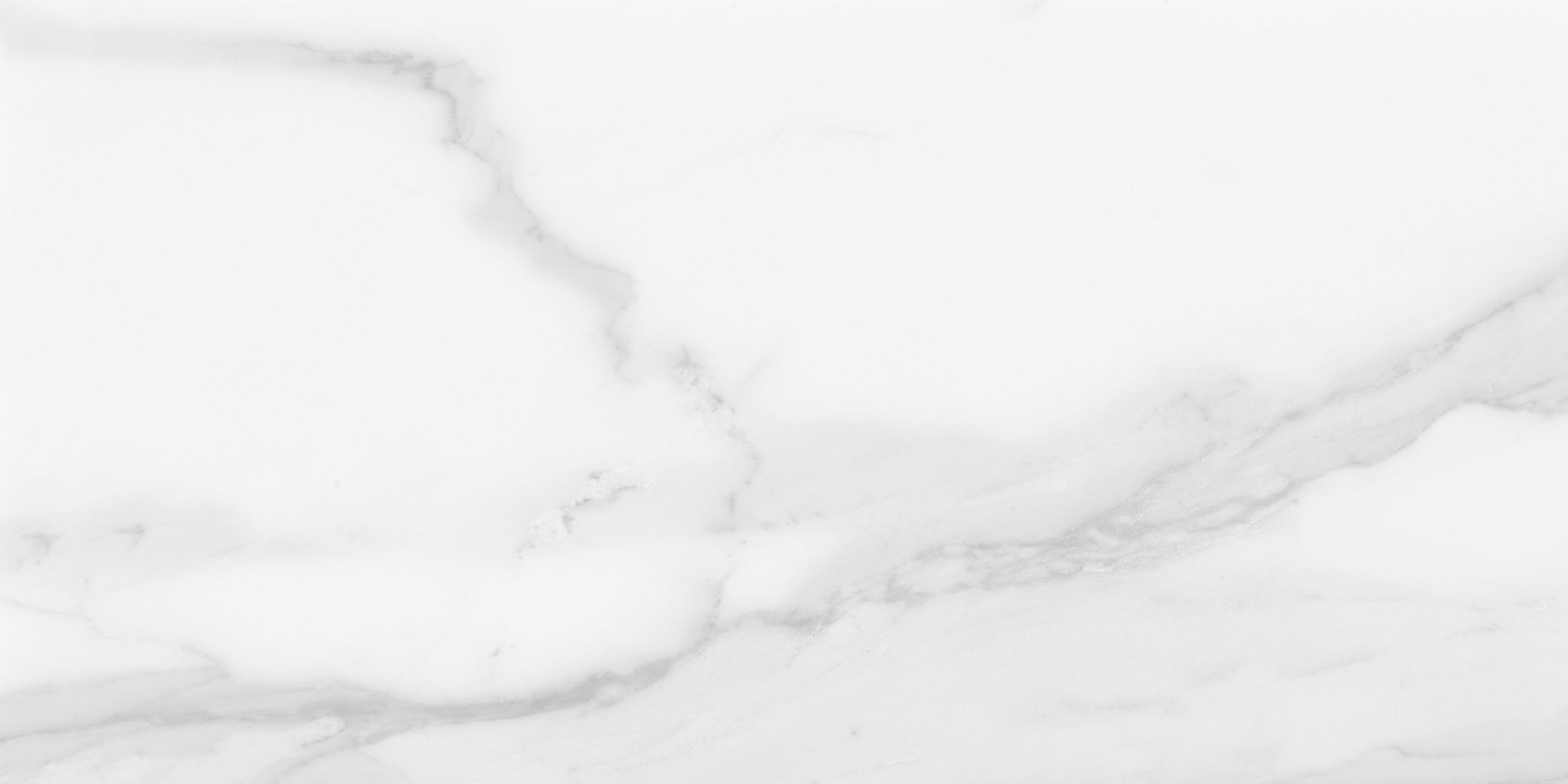 Plata 12x24 Statuario Brina Matte | Tile and Stone Center