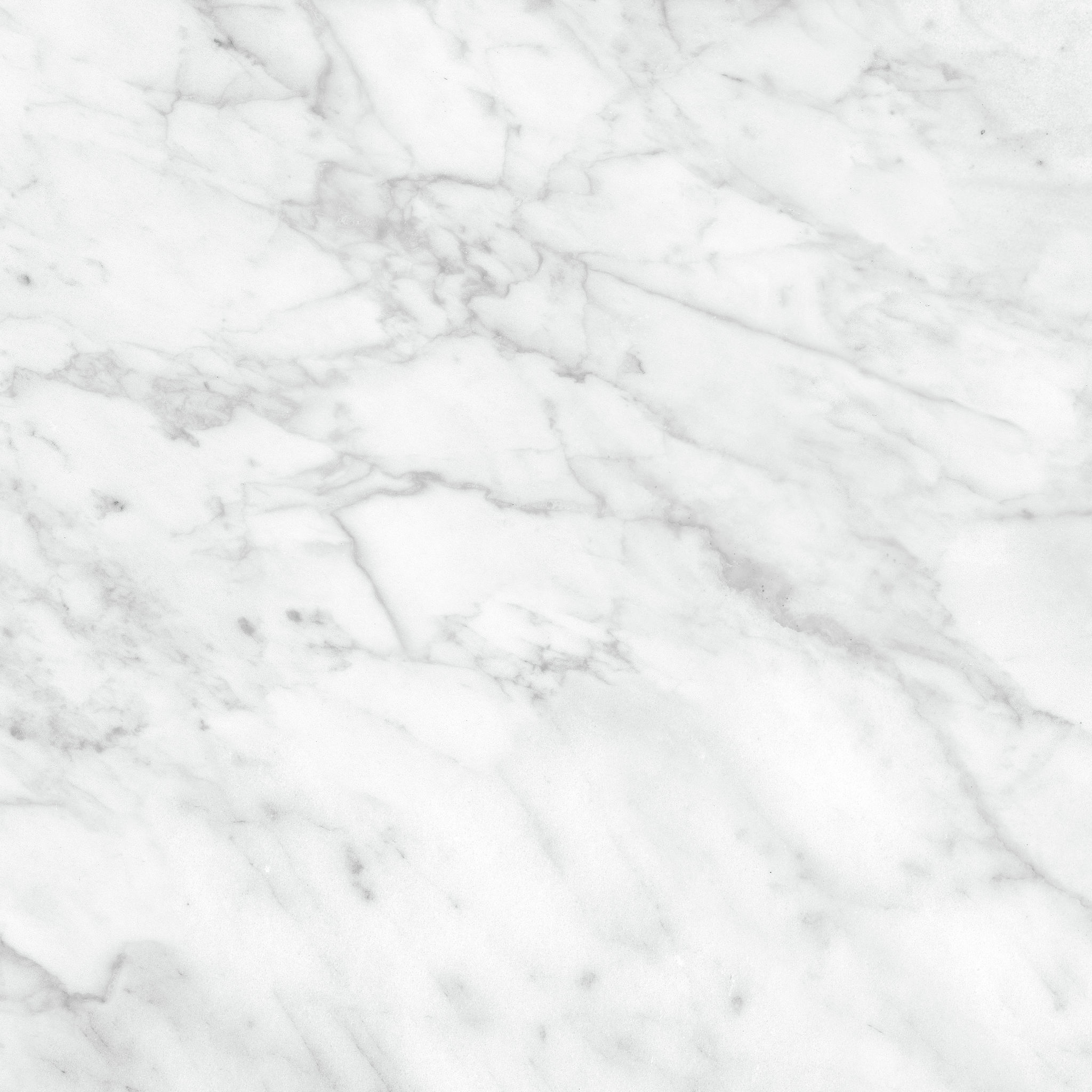 Plata 24x24 Carrara Abisso Polished | Tile and Stone Center