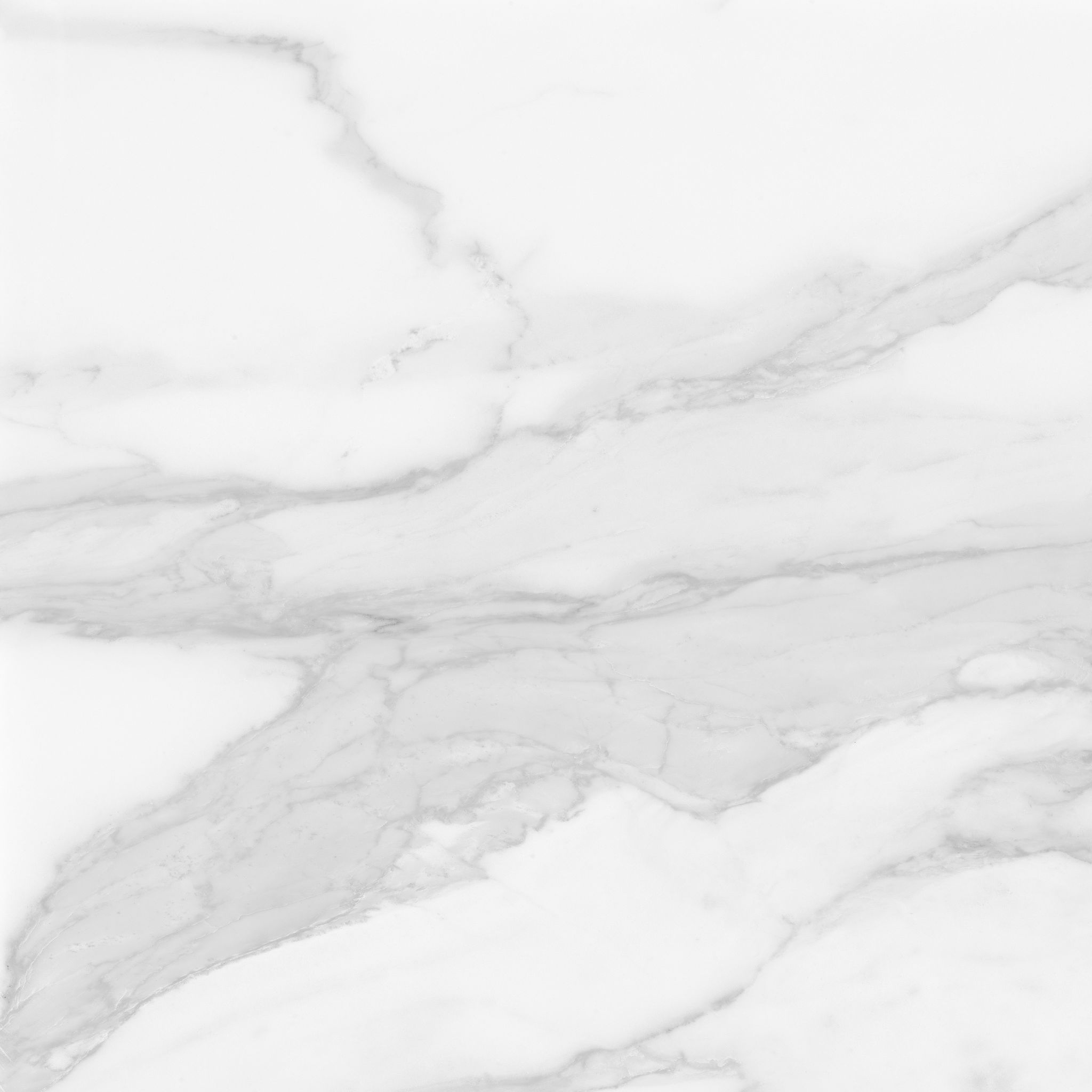Plata 24x24 Statuario Brina Matte | Tile and Stone Center