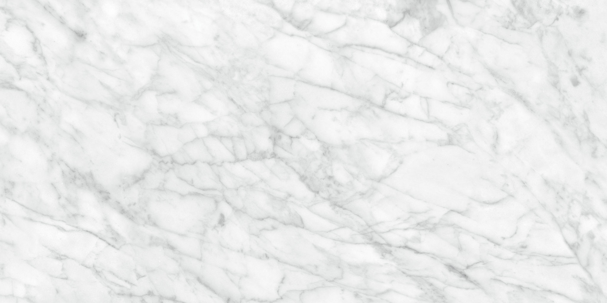 Plata 24x48 Carrara Abisso Matte | Tile and Stone Center