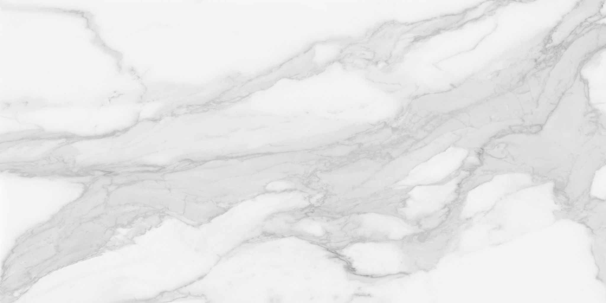 Plata 24x48 Statuario Brina Matte | Tile and Stone Center