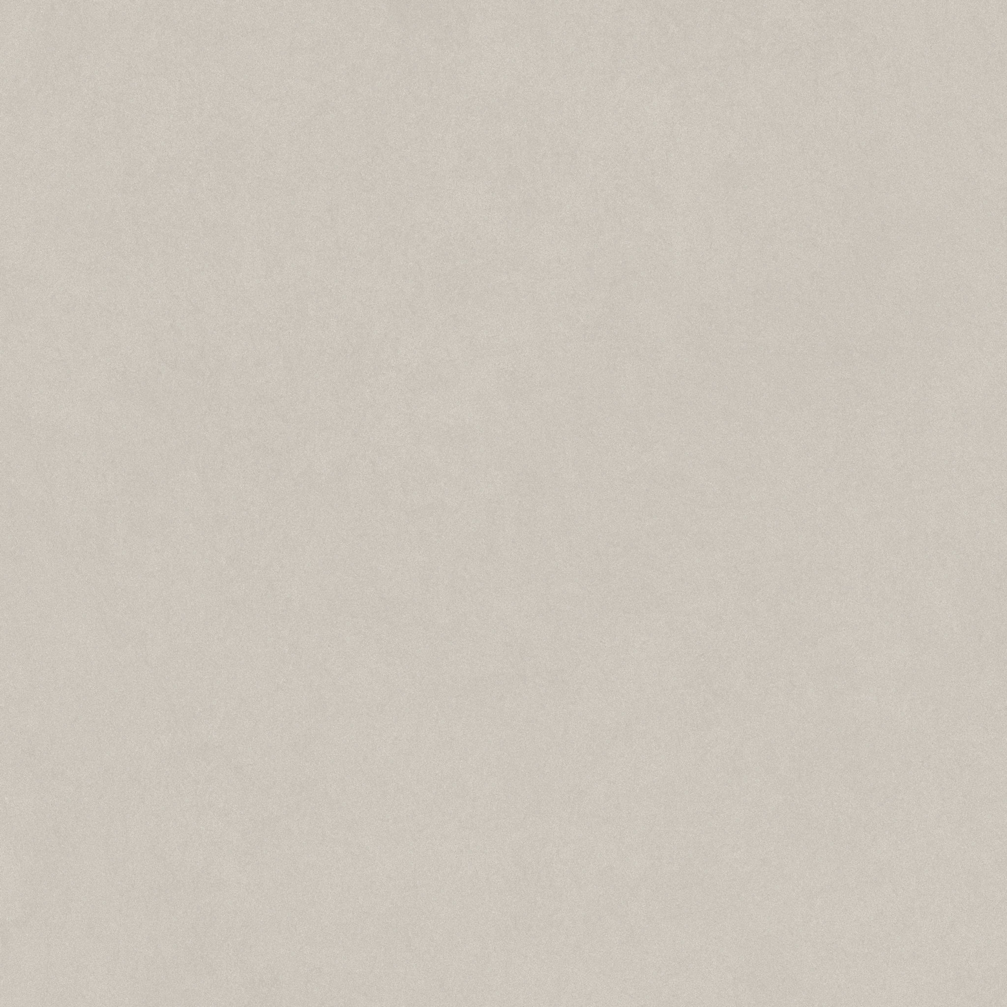 Serena 48X48 Crater | Tile and Stone Center