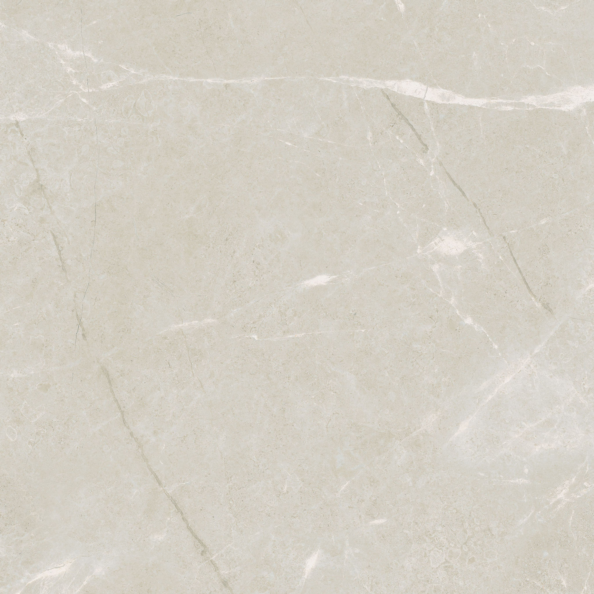 Torino 20x20 Avorio | Tile and Stone Center