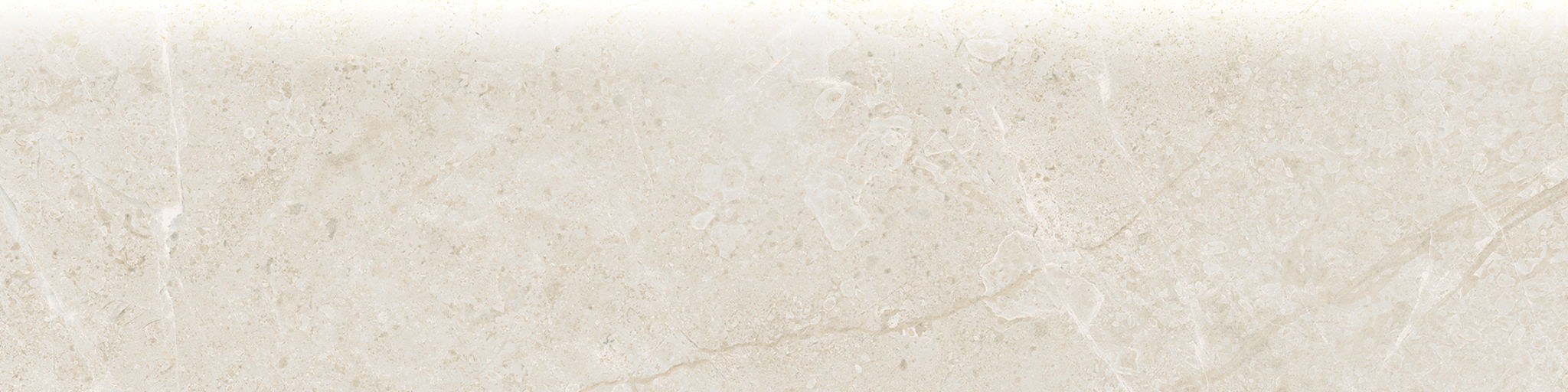 Torino 3x12 Avorio Bullnose | Tile and Stone Center