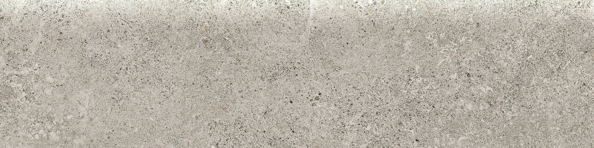 Veneta 3x12 Stormio Bullnose | Tile and Stone Center