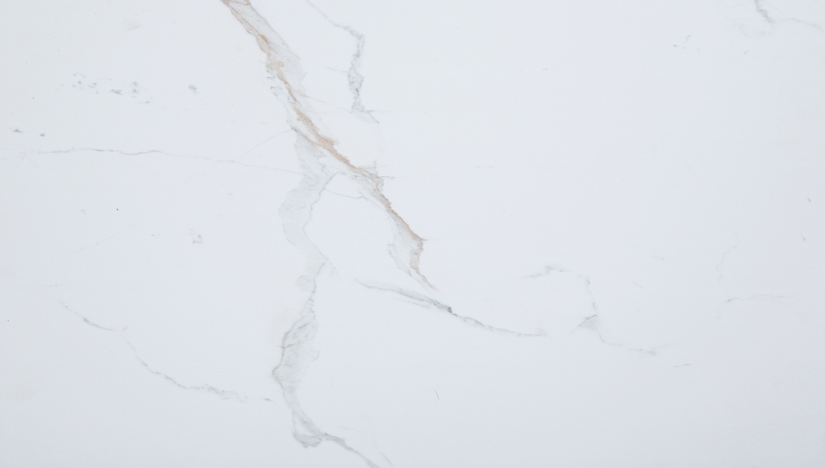 Carrara Marble Wall Tile 25x15 | Tile and Stone Center