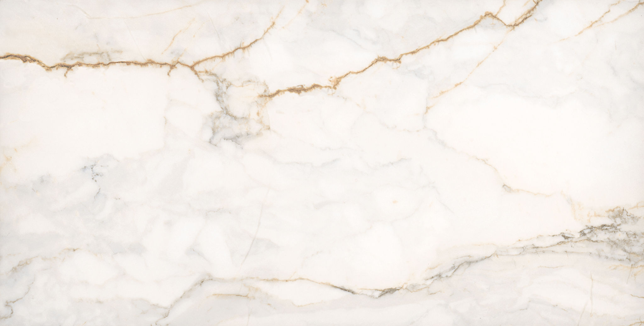 Treasure II Perfect Calacatta 12x24 Polished | Tile and Stone Center