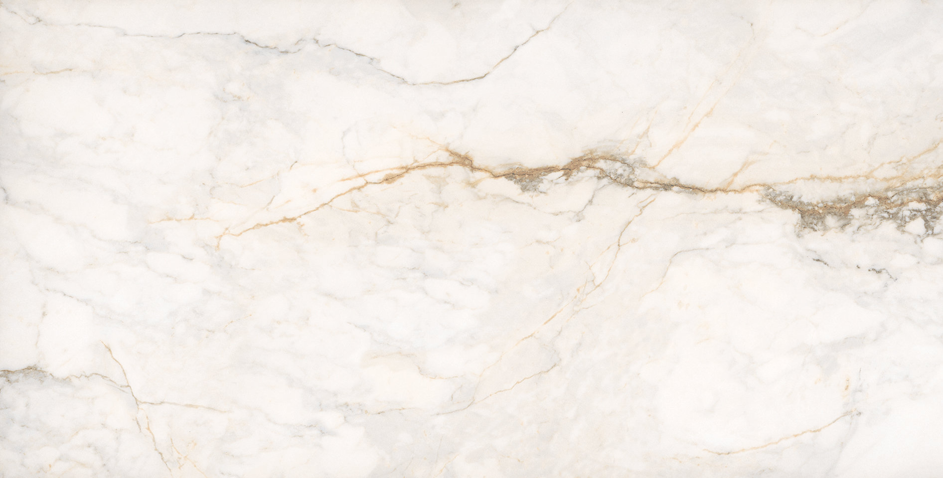 Treasure II Perfect Calacatta 24x48 Polished | Tile and Stone Center