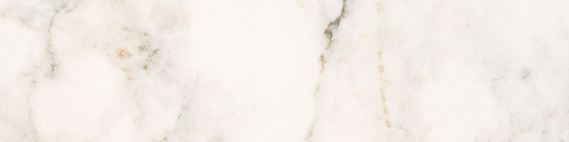 Treasure II Perfect Calacatta 4x12 Polished | Tile and Stone Center